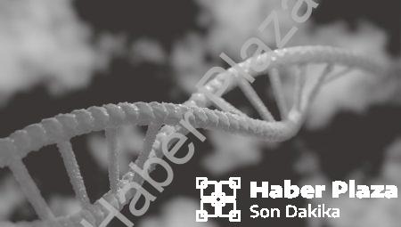 Nanotıp: Yapay Organdan Ölüme, Hayatı Sonlandıran Yan Etki!