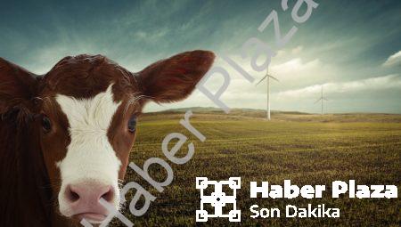 Enerji Sektöründeki Yenilikçi Projeler