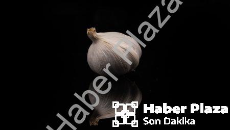 Dijital Pazarlama Trendleri