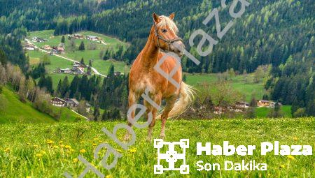 Tarım verimliliği: Gıda krizine çözüm olacak teknolojiler