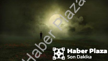Dijital Sanat Projeleri: Dünyanın En İnanılmaz Sanat Eserleri!