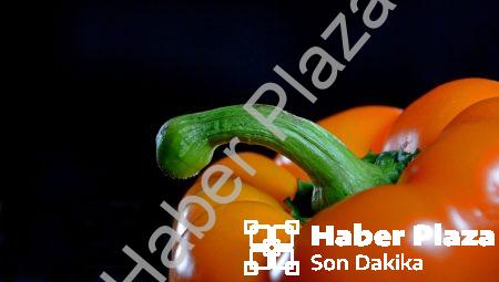 Nude Fotoğraf Nedir?