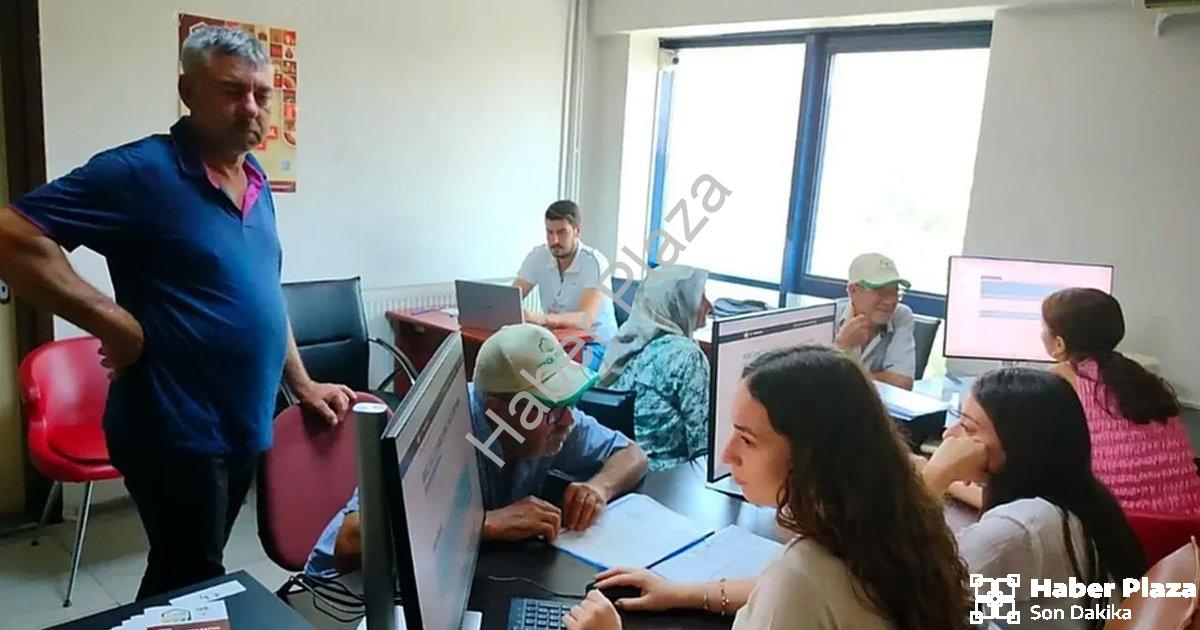 "Söke Ovası Tarım Sayımında Büyük Başarı: Çalışmalar Yüzde 90'a Ulaştı" başlıklı haber için fotoreal