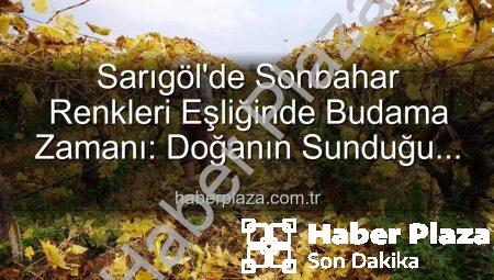 Sarıgöl’de Sonbahar Renkleri Eşliğinde Budama Zamanı: Doğanın Sunduğu Kartpostallık Manzaralar İşçilere İlham Veriyor