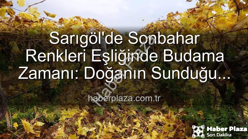 Sarıgöl bağ budama - Sarıgöl'de Sonbahar Renkleri Eşliğinde Budama Zamanı: Doğanın Sunduğu Kartpostallık Manzaralar İşçilere İlham Veriyor