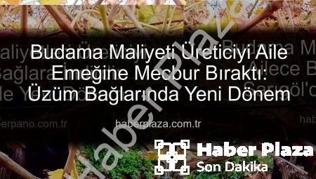 Budama Maliyeti Üreticiyi Aile Emeğine Mecbur Bıraktı: Üzüm Bağlarında Yeni Dönem