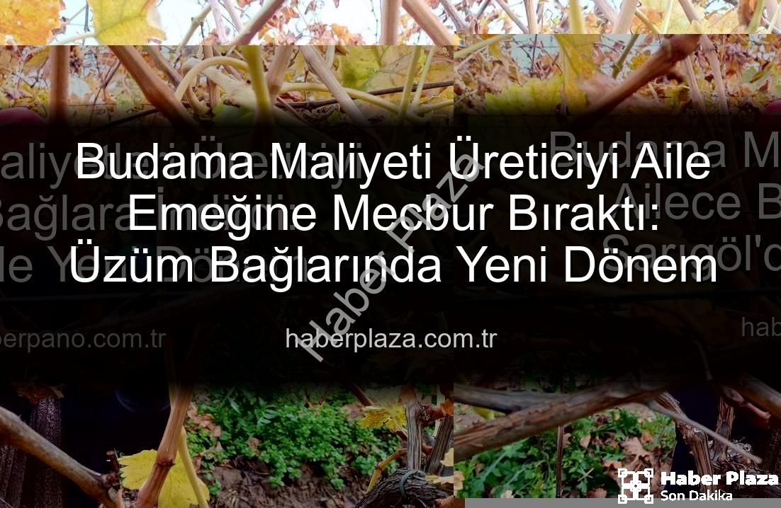 budama maliyeti - Budama Maliyeti Üreticiyi Aile Emeğine Mecbur Bıraktı: Üzüm Bağlarında Yeni Dönem