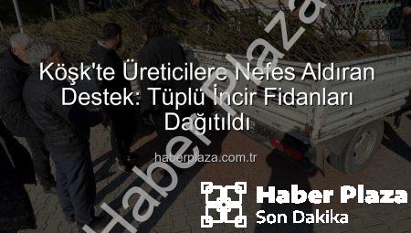 Köşk’te Üreticilere Nefes Aldıran Destek: Tüplü İncir Fidanları Dağıtıldı