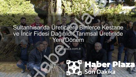 Sultanhisar’da Üreticilere Binlerce Kestane ve İncir Fidesi Dağıtıldı: Tarımsal Üretimde Yeni Dönem