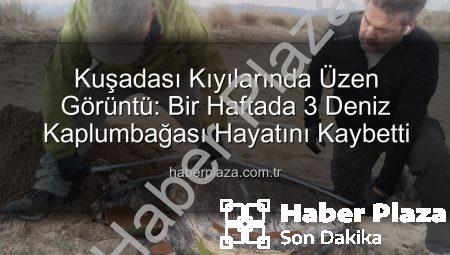 Kuşadası Kıyılarında Üzen Görüntü: Bir Haftada 3 Deniz Kaplumbağası Hayatını Kaybetti