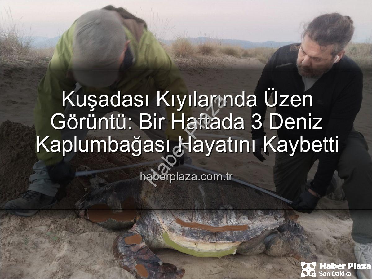 deniz kaplumbağası ölümü - Kuşadası Kıyılarında Üzen Görüntü: Bir Haftada 3 Deniz Kaplumbağası Hayatını Kaybetti