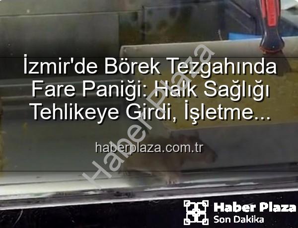 İzmir börekçi fare - İzmir'de Börek Tezgahında Fare Paniği: Halk Sağlığı Tehlikeye Girdi, İşletme Mühürlendi