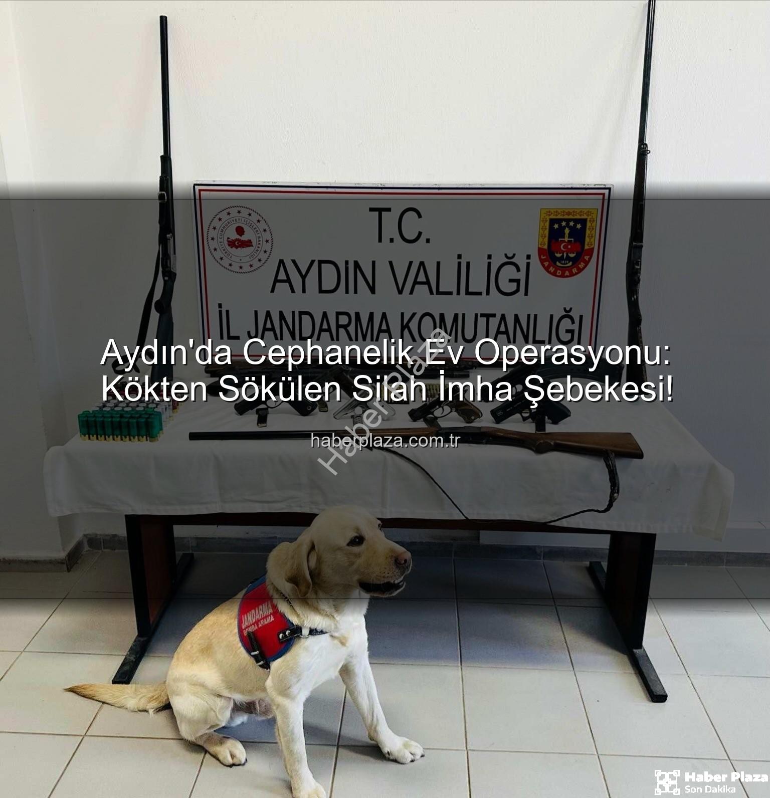 Aydın silah operasyonu - Aydın'da Cephanelik Ev Operasyonu: Kökten Sökülen Silah İmha Şebekesi!