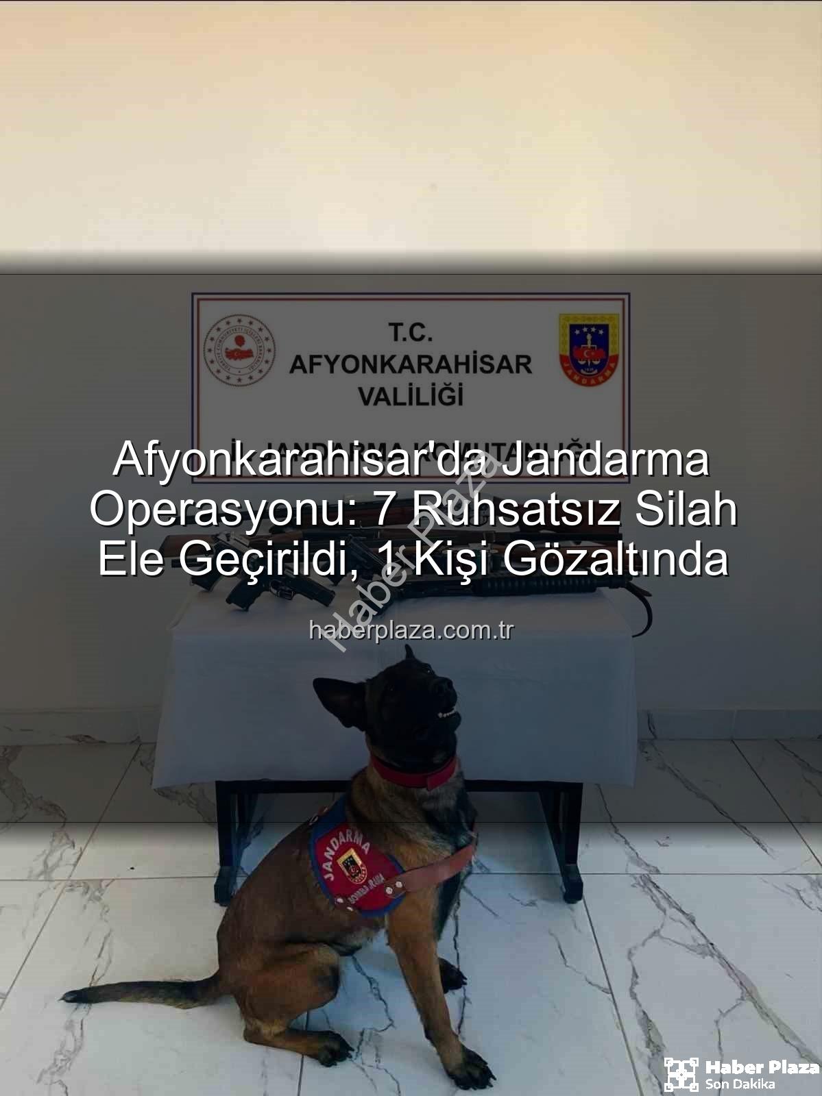 ruhsatsız silah - Afyonkarahisar'da Jandarma Operasyonu: 7 Ruhsatsız Silah Ele Geçirildi, 1 Kişi Gözaltında