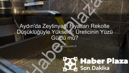 Aydın’da Zeytinyağı Fiyatları Rekolte Düşüklüğüyle Yükseldi: Üreticinin Yüzü Güldü mü?