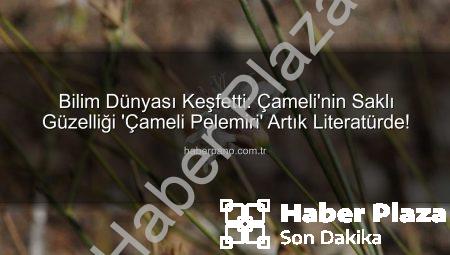 Bilim Dünyasına Yeni Bir Katkı: Çameli’nde Keşfedilen ‘Çameli Pelemiri’ Bitki Literatürüne Girdi