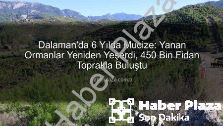 Dalaman’da 6 Yılda Mucize: Yanan Ormanlar Yeniden Yeşerdi, 450 Bin Fidan Toprakla Buluştu