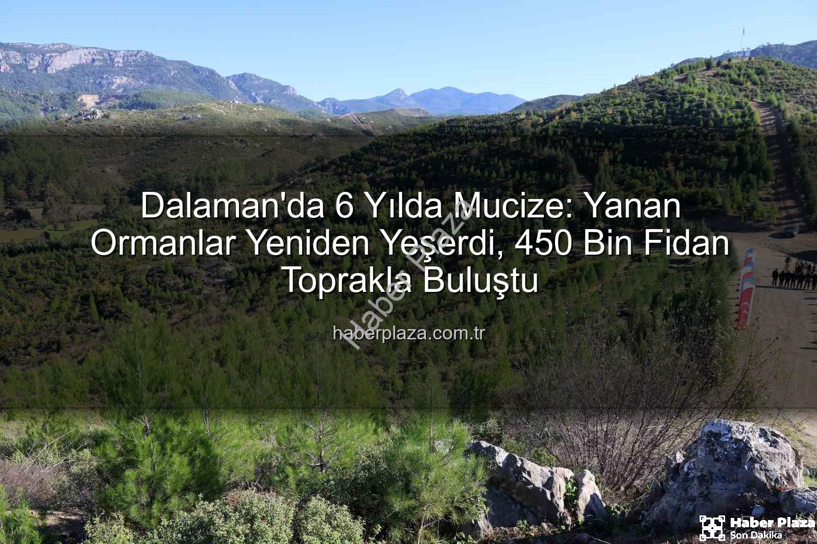 dalaman yanan ormanlar - Dalaman'da 6 Yılda Mucize: Yanan Ormanlar Yeniden Yeşerdi, 450 Bin Fidan Toprakla Buluştu